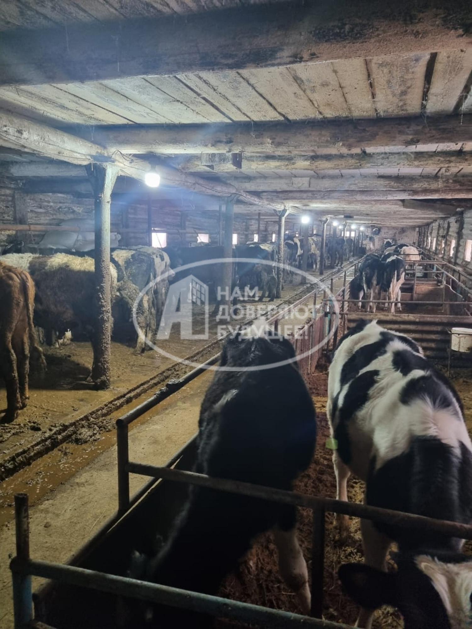 Купить производственную площадь за 2 600 000 рублей на Трудовая улица