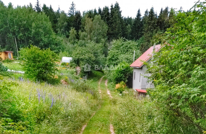 Земельный участок садовое товарищество Ольшанское