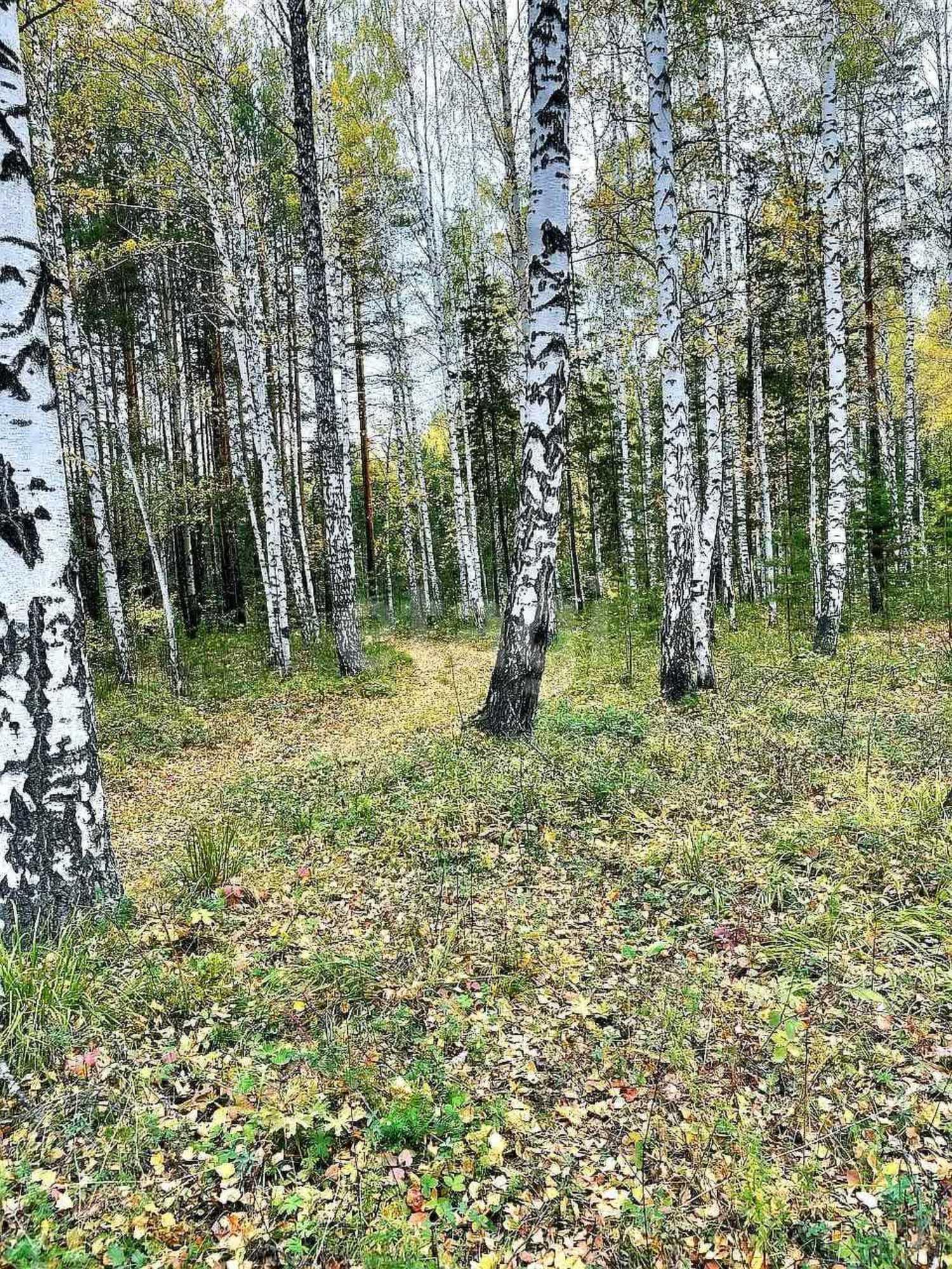 Купить землю, земельный участок за 675 000 рублей на Решёты
