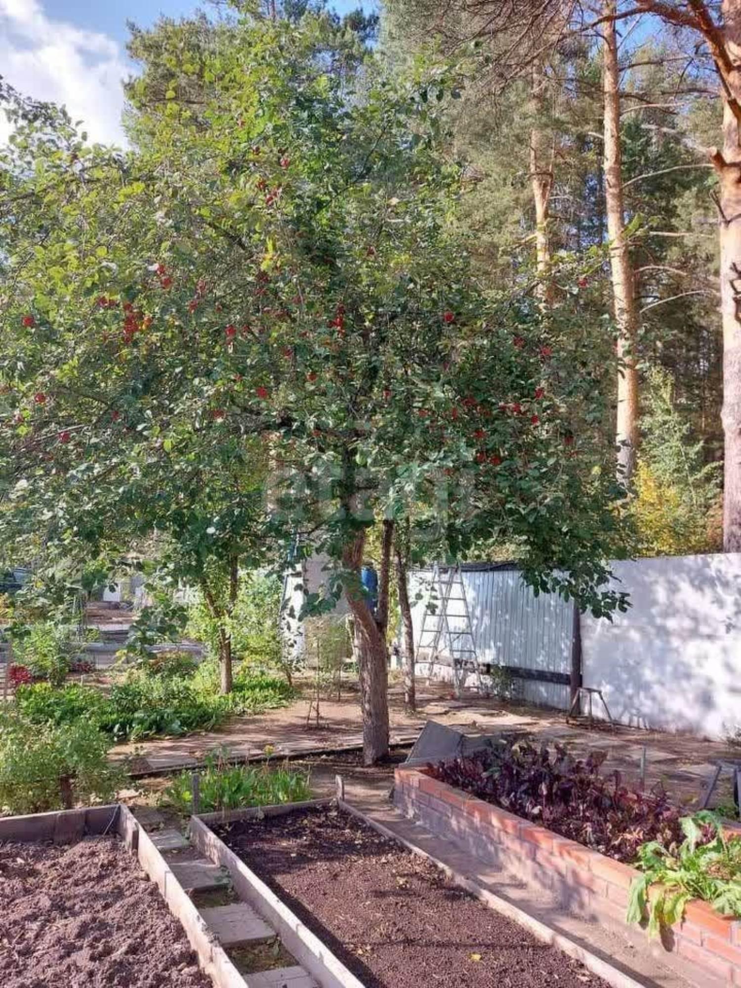 Купить дачу, дом, коттедж за 2 899 000 рублей на Рябинушка, 4