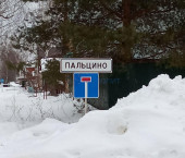 земля 48 сот Пальцино