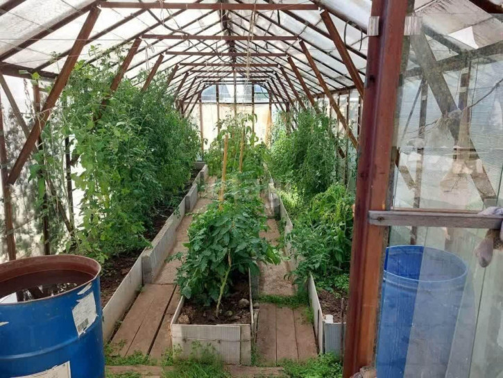 Коттедж/дом Рябинушка, 4