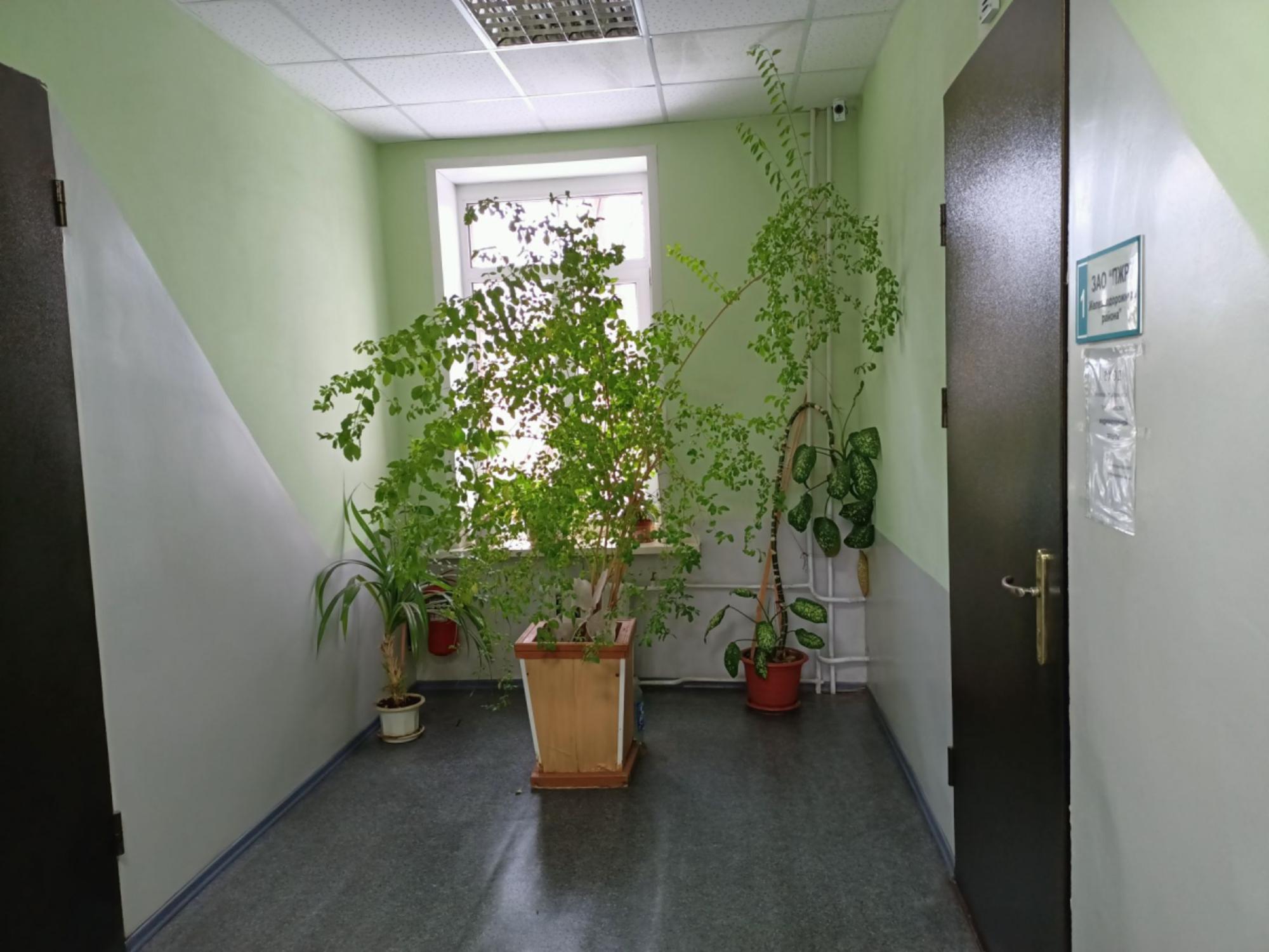 Сдать офис, помещение под офис за 9 360 рублей на ул Тухачевского, 249а