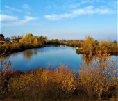 земля 1550.3 сот ул Пушкина, 2