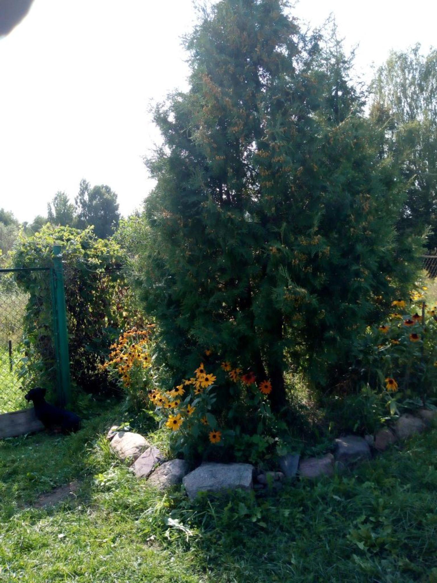 Купить дачу, дом, коттедж за 1 400 000 рублей на Дуброво д