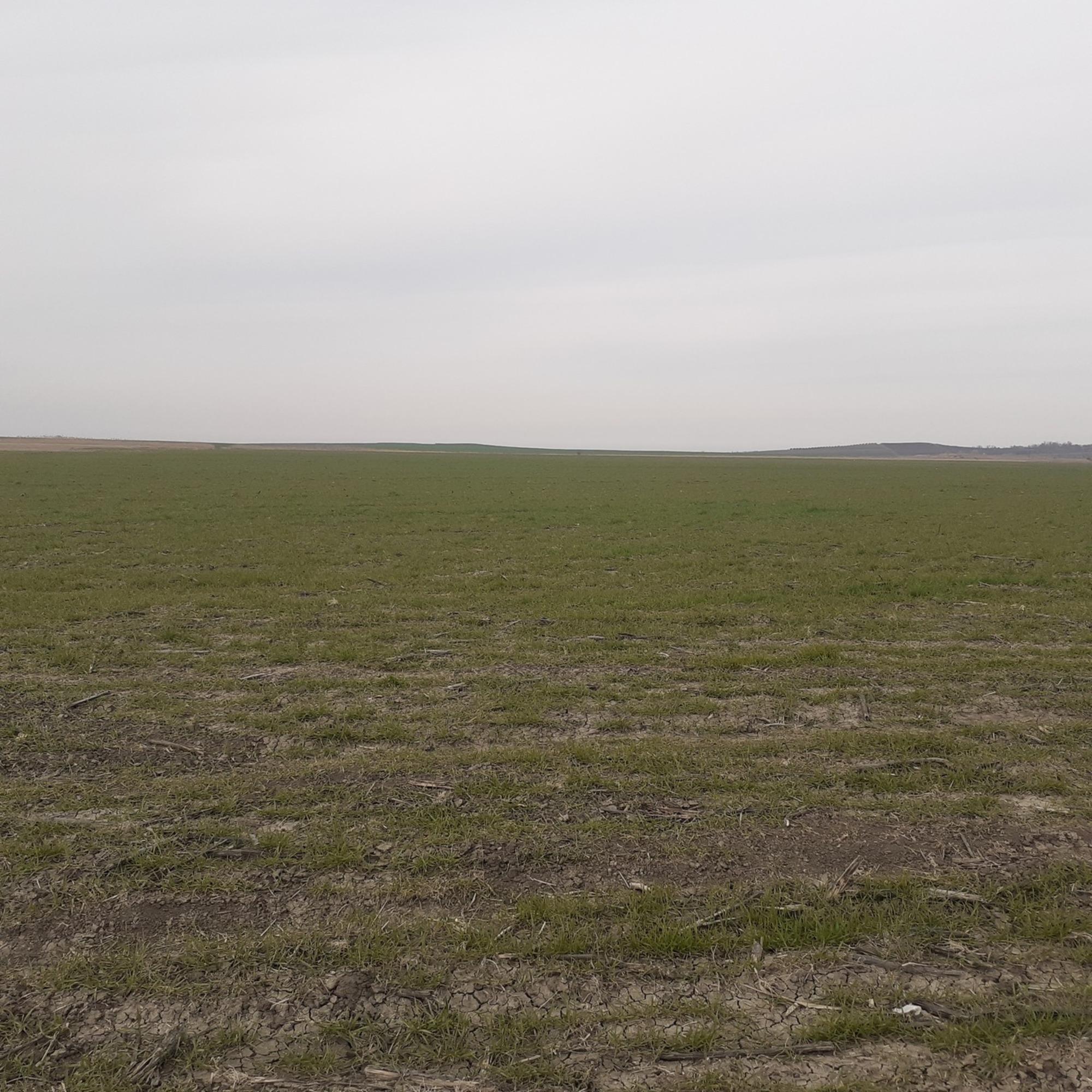 Купить землю, земельный участок за 4 500 000 рублей на село Цибанобалка