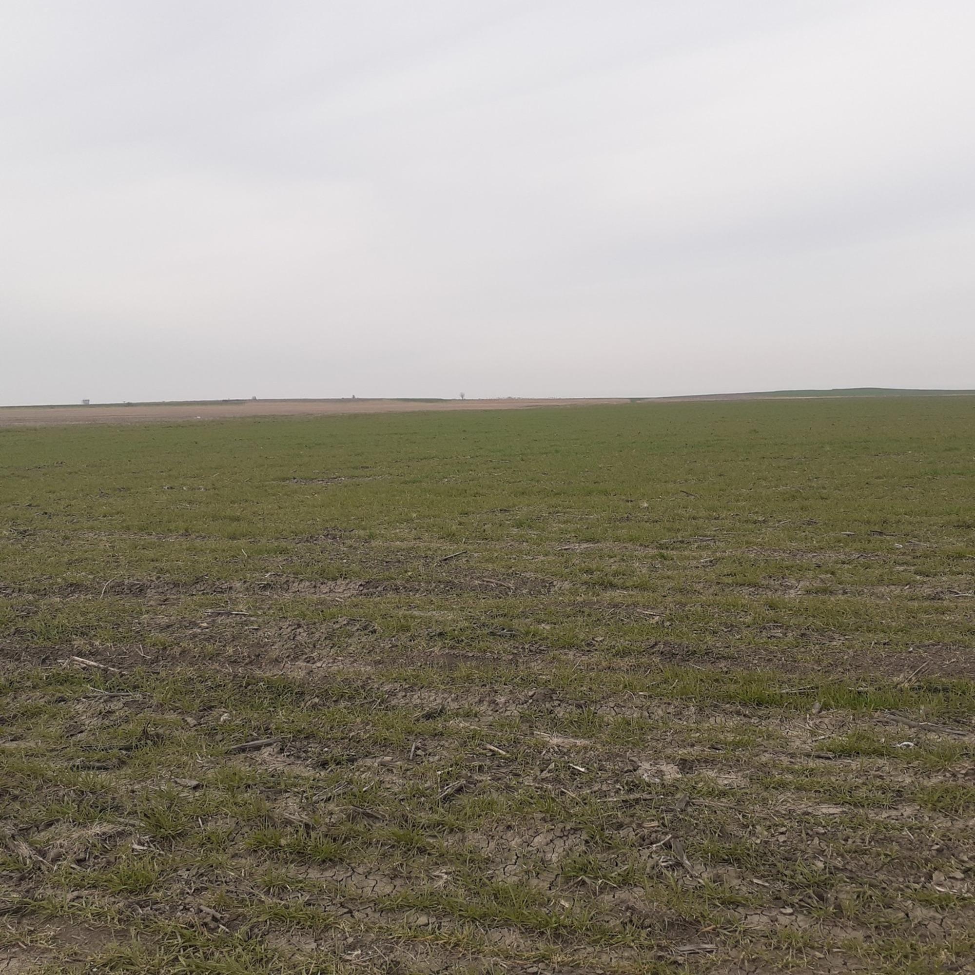 Купить землю, земельный участок за 4 500 000 рублей на село Цибанобалка