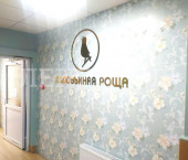 3-комн, 75кв м, этаж 2/9 улица Шаповалова, 1Ес1