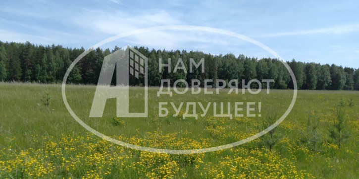 Земельный участок
