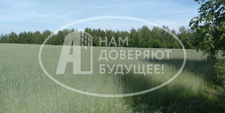 Земельный участок