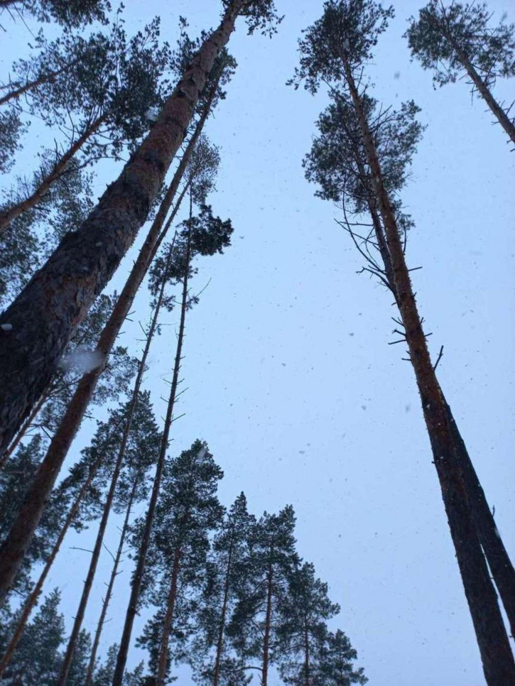 Земельный участок Павлодарская, 6 б