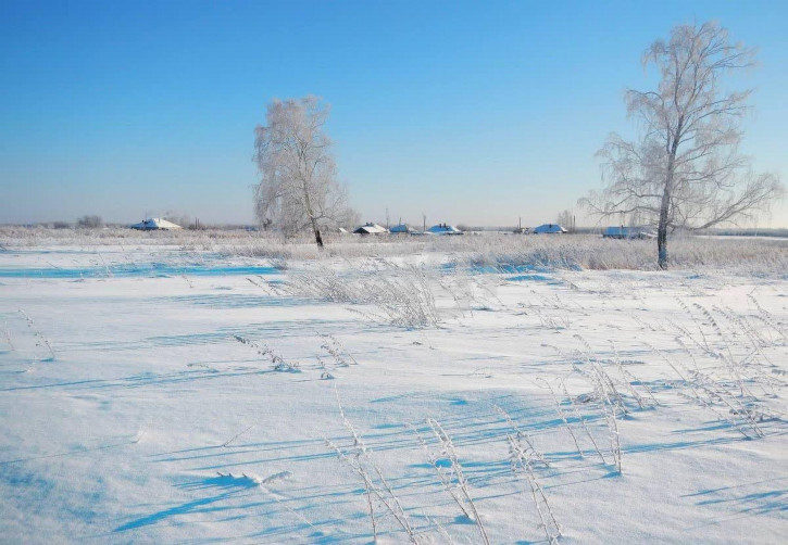 Земельный участок Бежицкий район