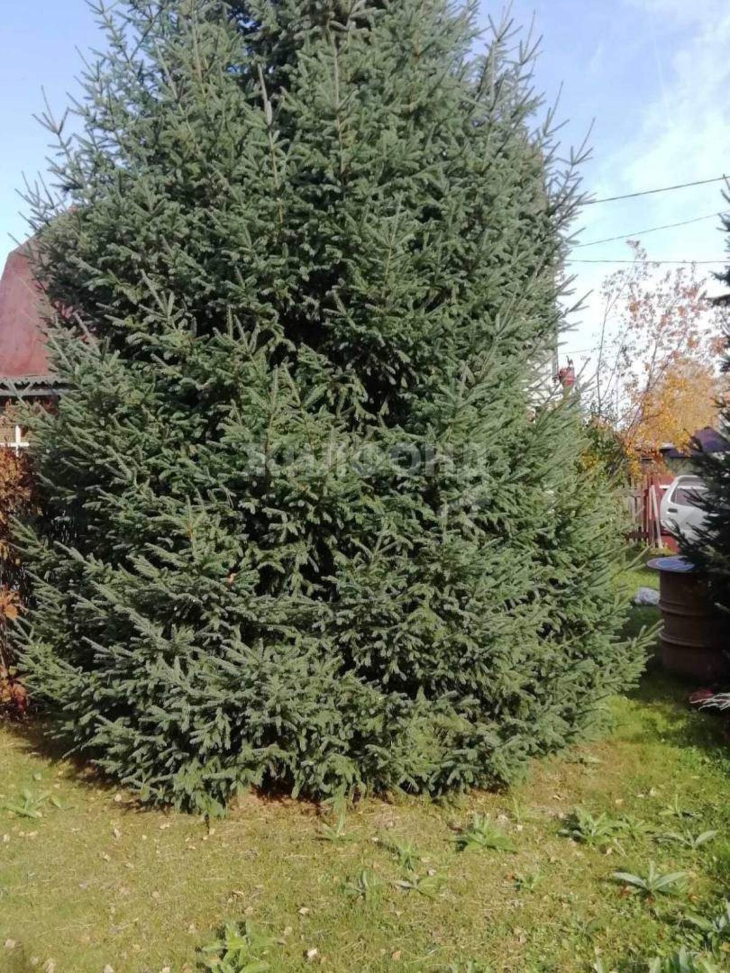 Купить дачу, дом, коттедж за 999 000 рублей на село Льниха