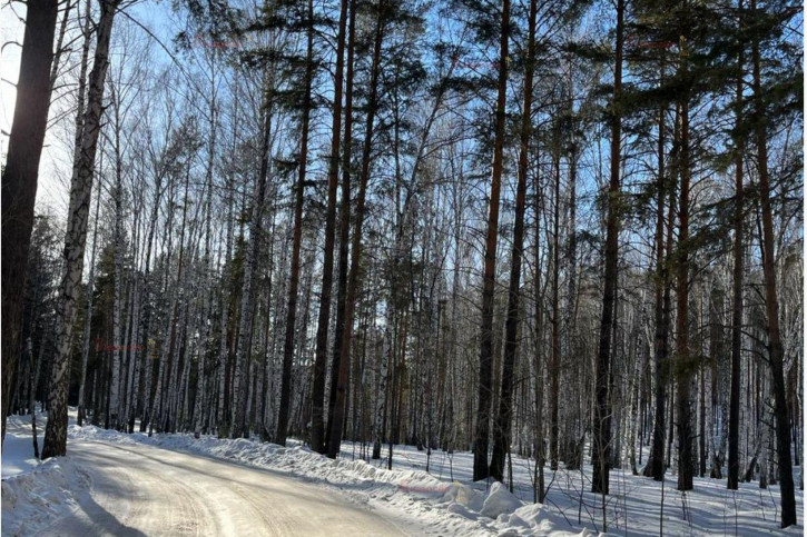 Земельный участок Екатеринбург