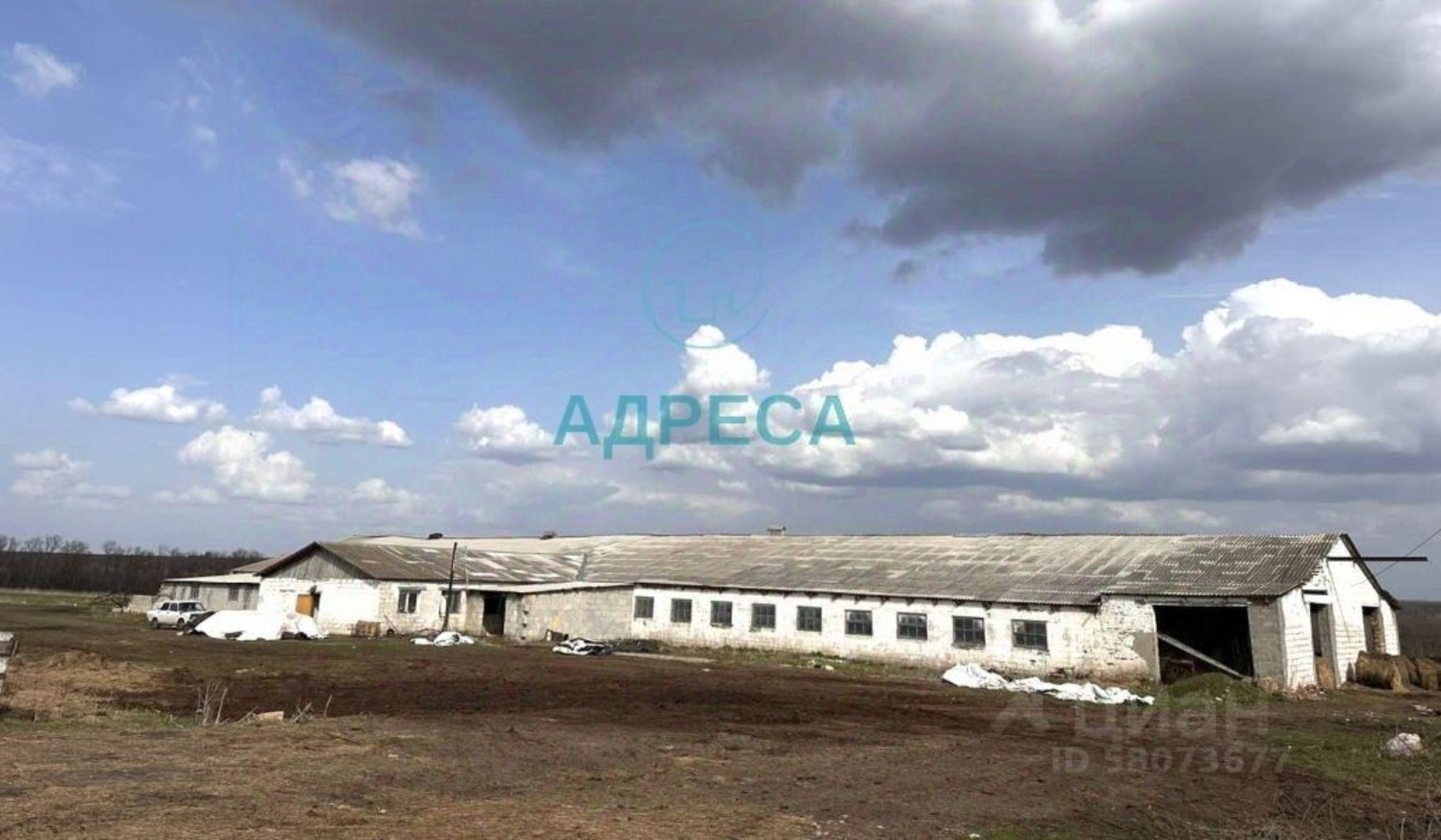Купить производственную площадь за 118 279 рублей на ул Курская, 52