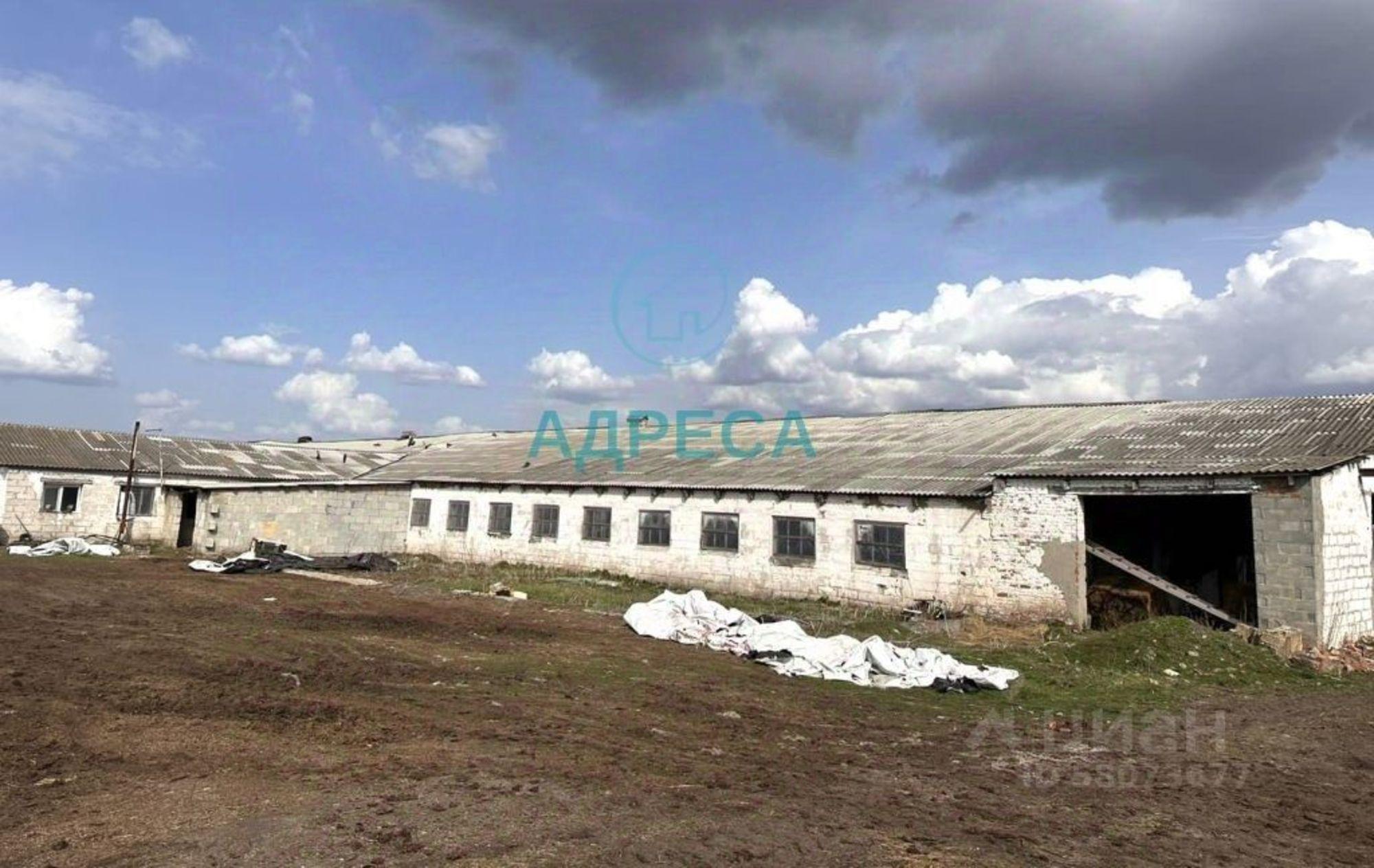 Купить производственную площадь за 118 279 рублей на ул Курская, 52