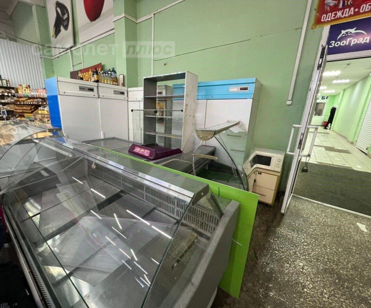 Торговое помещение улица 9 Января, 223,  д. 223