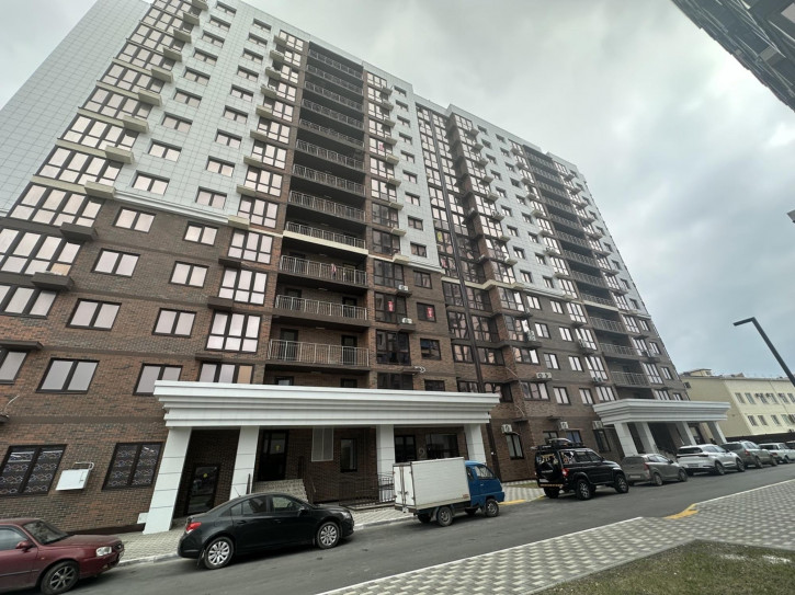 2-комн квартира улица Омелькова, 93