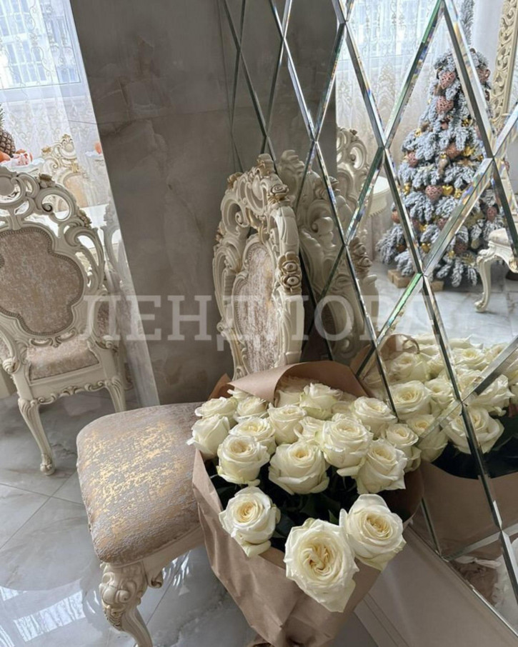3-комн квартира улица Мечникова, 39Б