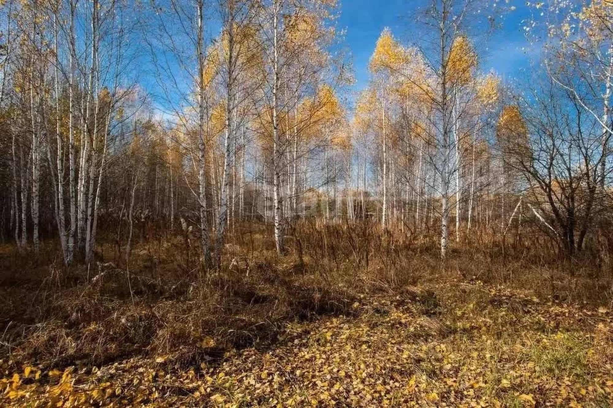 Купить землю, земельный участок за 9 700 000 рублей на Нижнетавдинский район,деревня Штакульская
