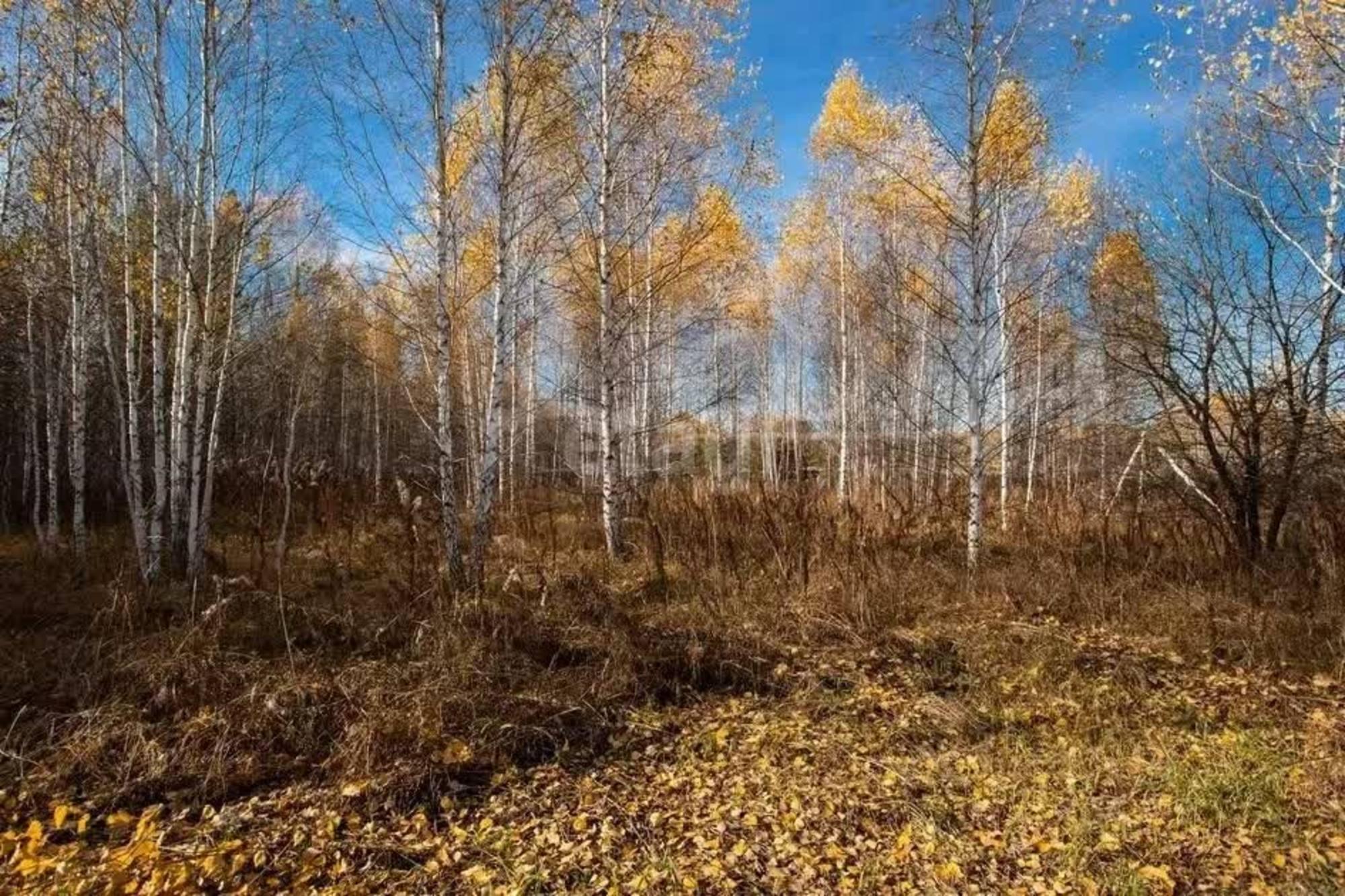 Купить землю, земельный участок за 5 200 000 рублей на Нижнетавдинский район,деревня Штакульская