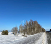 земля 1160 сот Белоярский, 464