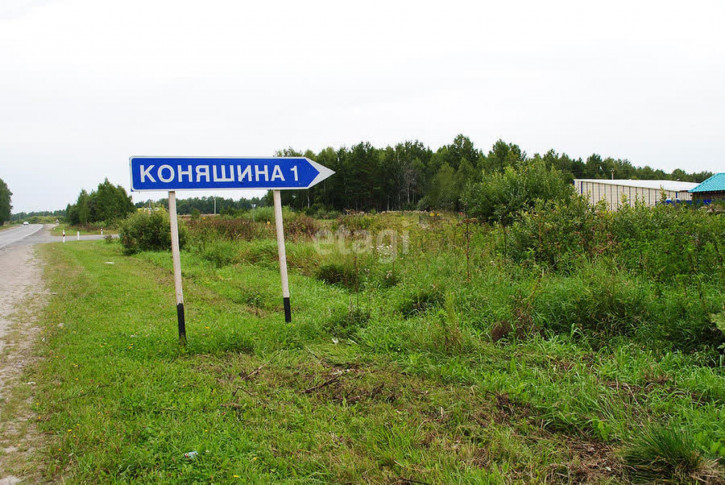 Земельный участок Коняшина