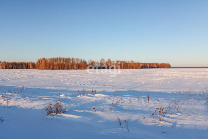 Земельный участок Горьковское МО