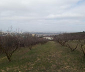 земля 15 сот п. Супсех