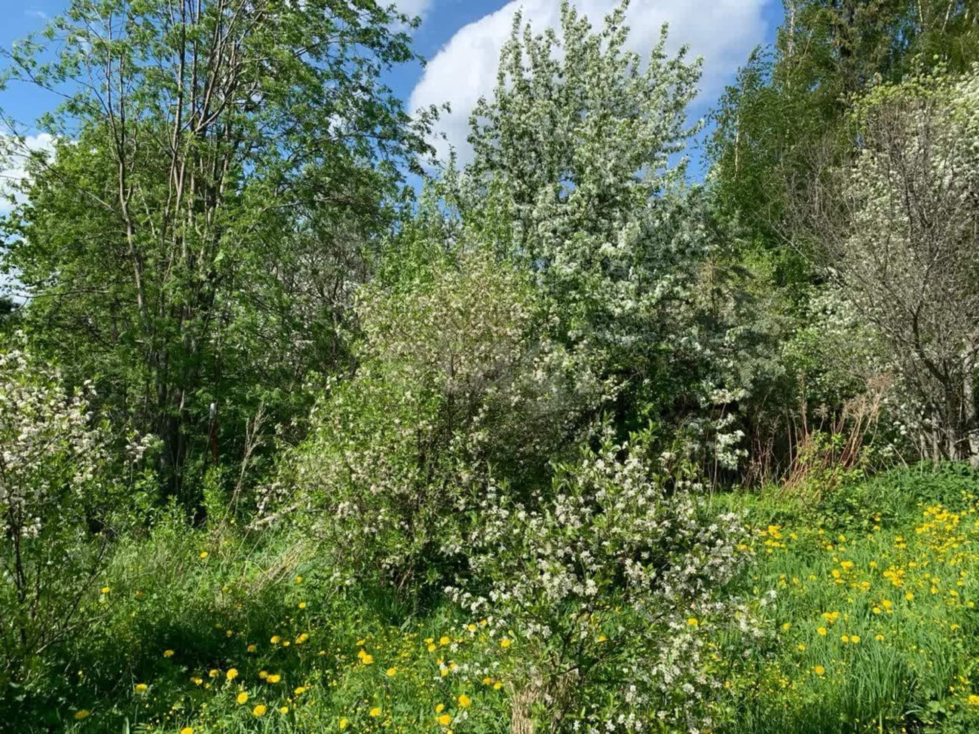 Купить дачу, дом, коттедж за 2 200 000 рублей на , 6