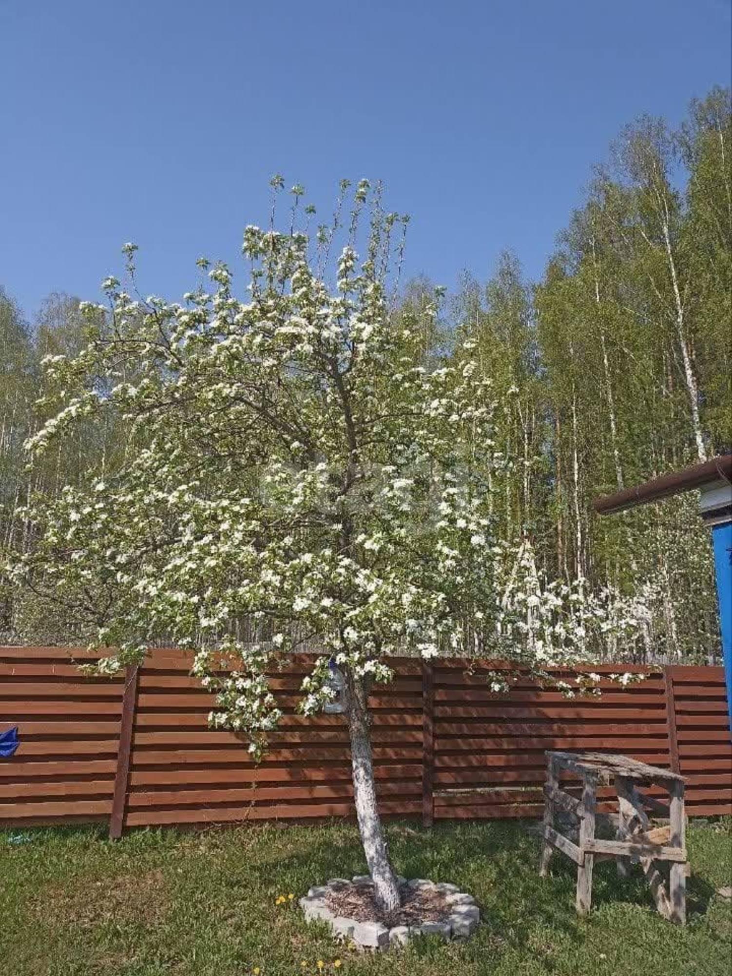 Купить дачу, дом, коттедж за 2 200 000 рублей на СНТ Ясень, 11
