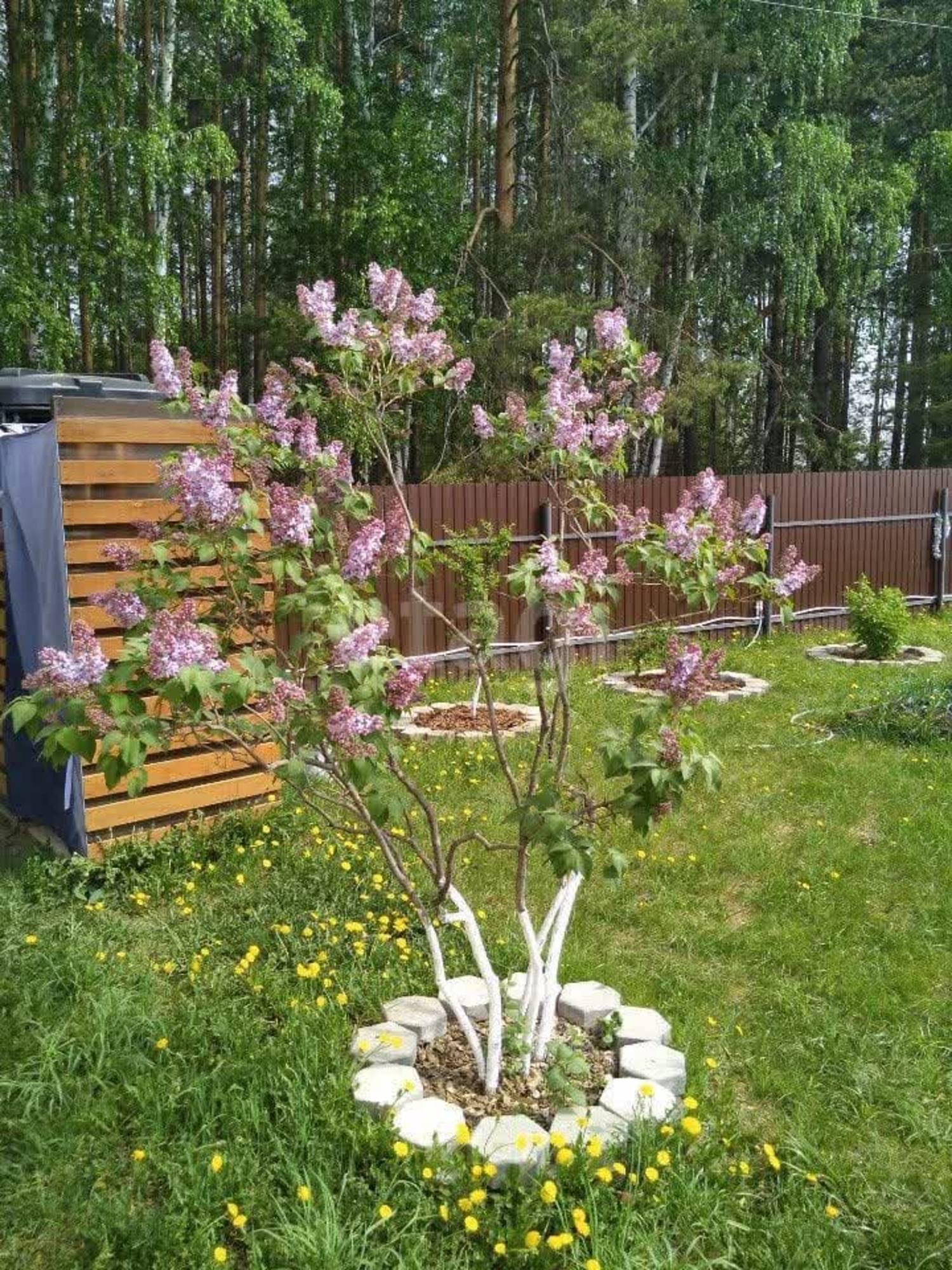 Купить дачу, дом, коттедж за 2 200 000 рублей на СНТ Ясень, 11