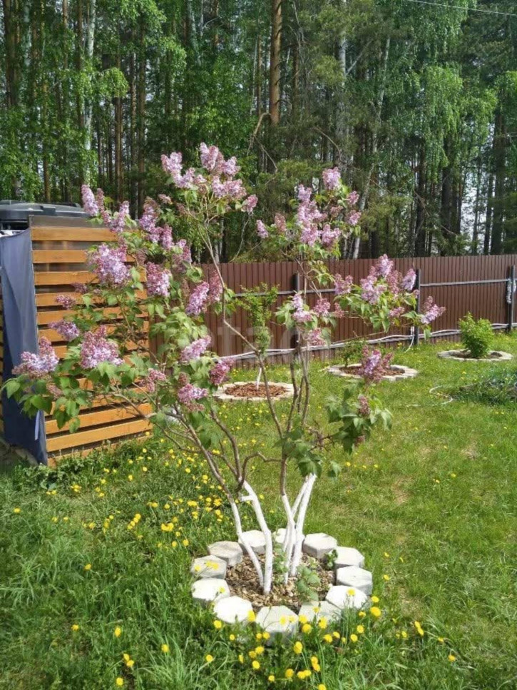 Коттедж/дом СНТ Ясень, 11