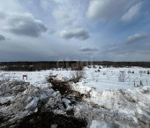 земля 30 сот посёлок Сосновка, 1049