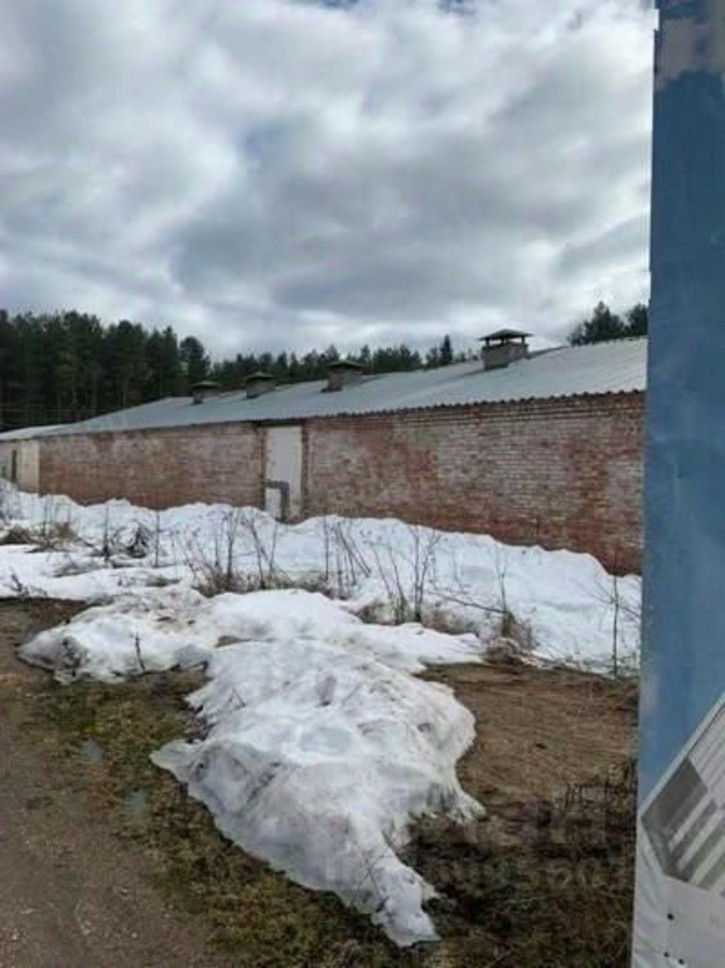 Производственное помещение Тарногский район, Тарногский Городок село, ул. Загородная, д. 25