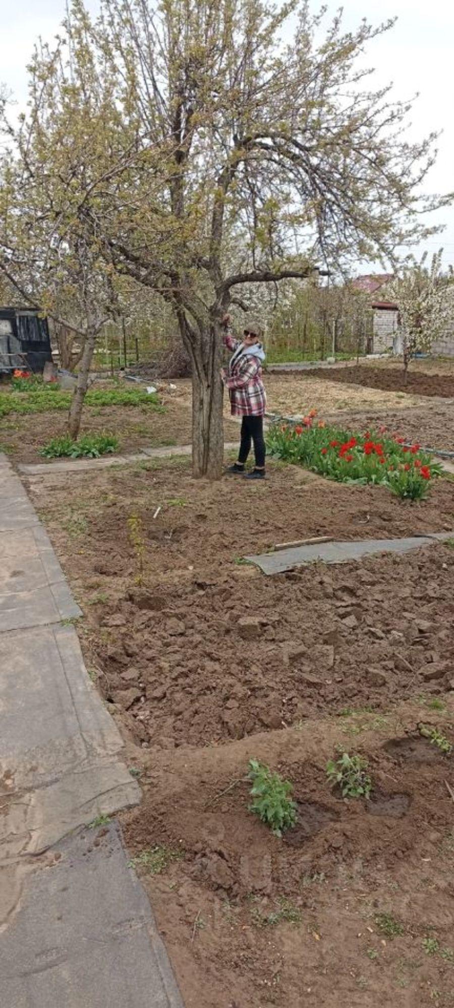 Купить дачу, дом, коттедж за 400 000 рублей на СНТ Дзержинец, Винновский массив, 65-й квартал