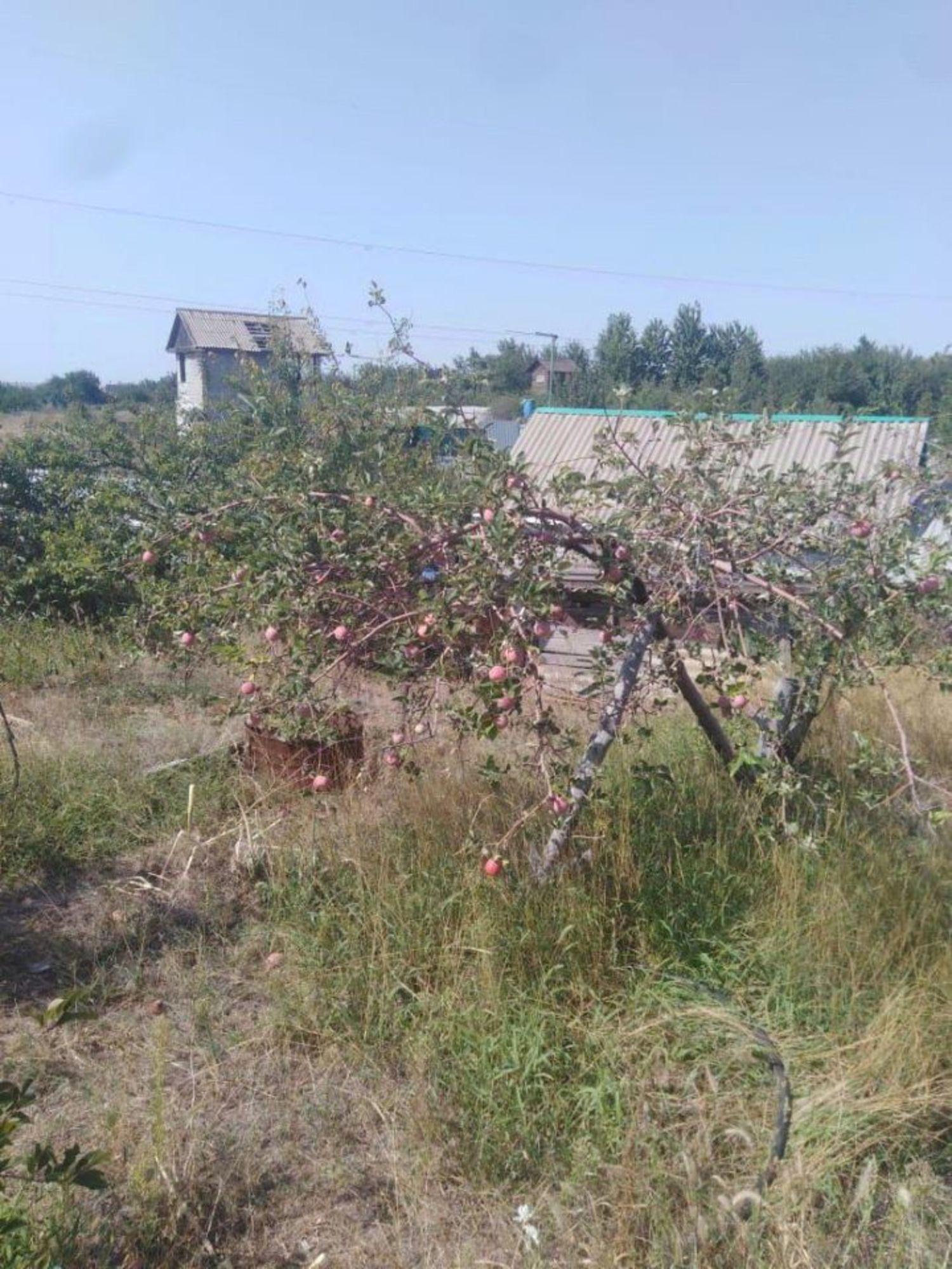Купить дачу, дом, коттедж за 250 000 рублей на СНТ Дзержинец, Степной массив, 40-й квартал