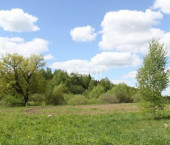 земля 5.6 сот снт Дальний Березит, 80