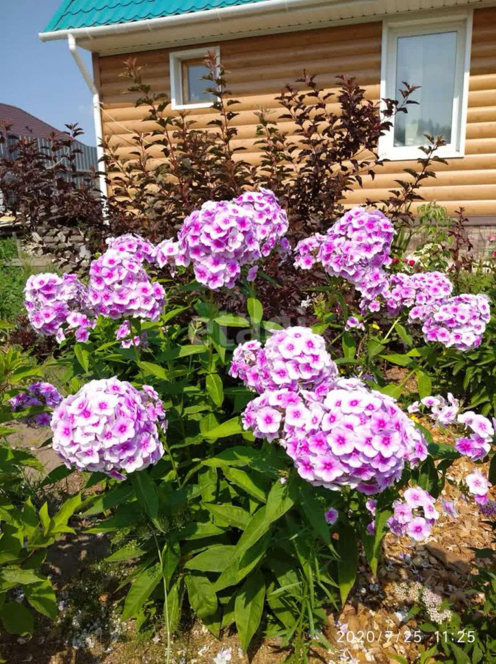 Коттедж/дом Серебряный бор