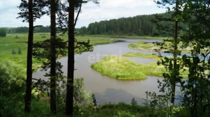 Земельный участок деревня Раскуиха, 20