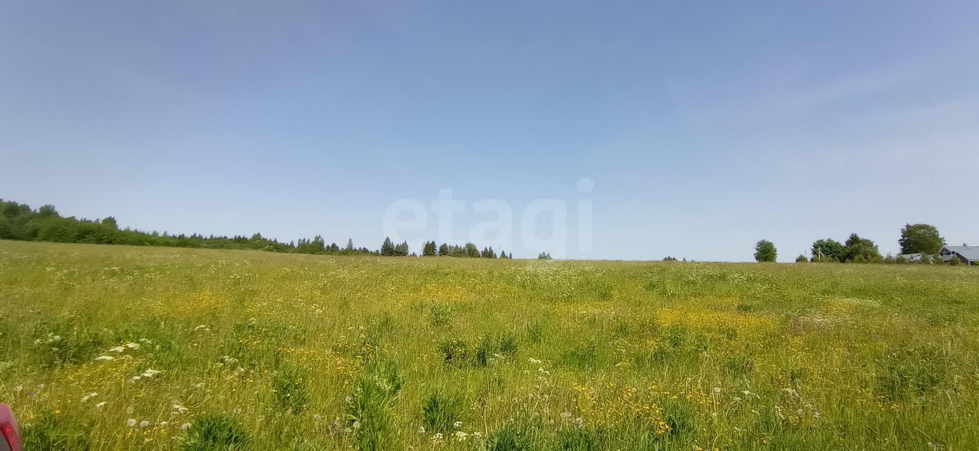Купить землю, земельный участок за 300 000 рублей на село Погорелово, 814