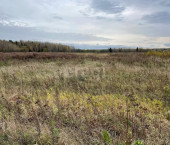 земля 25 сот село Погорелово, 814