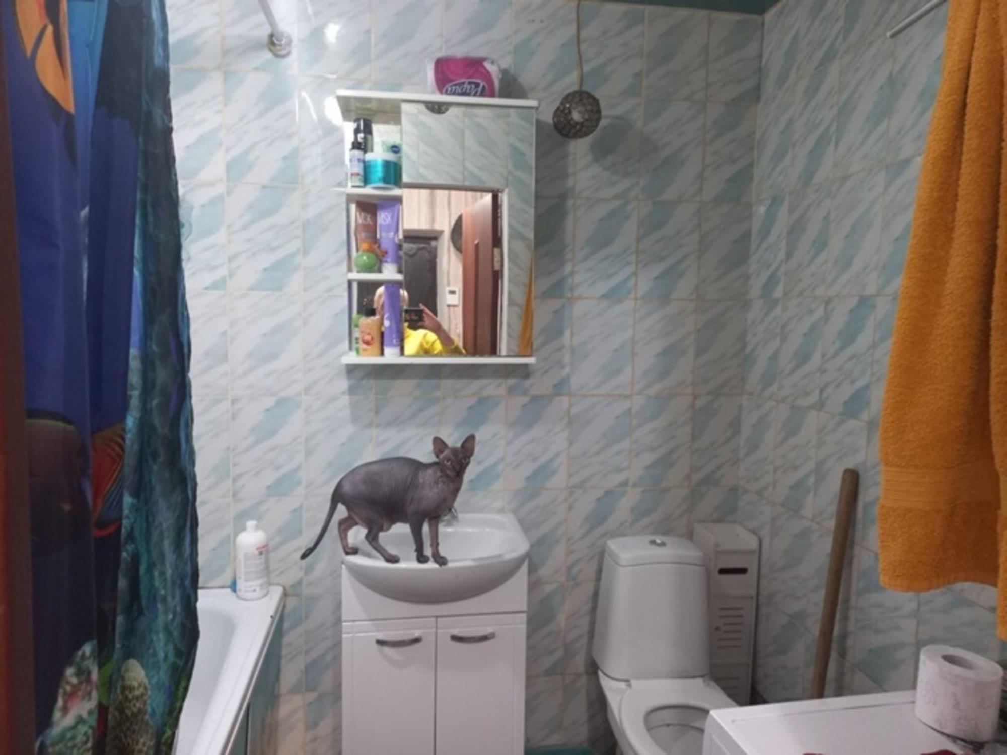Купить дачу, дом, коттедж за 4 100 000 рублей на 6 линия улица, 789