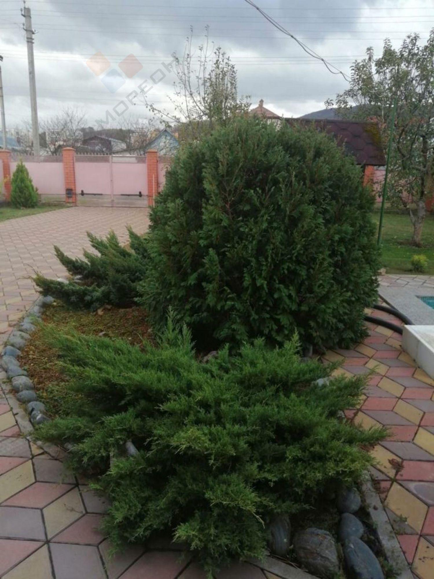 Купить дачу, дом, коттедж за 22 200 000 рублей на Урусова ул, 7