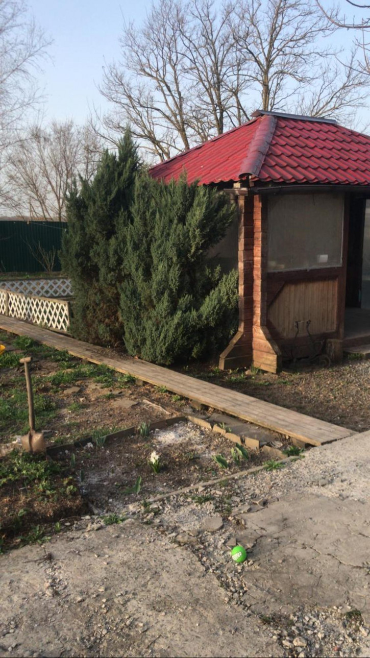 Коттедж/дом 816