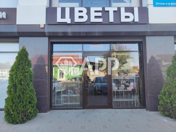 Торговое помещение ул Российская, 113