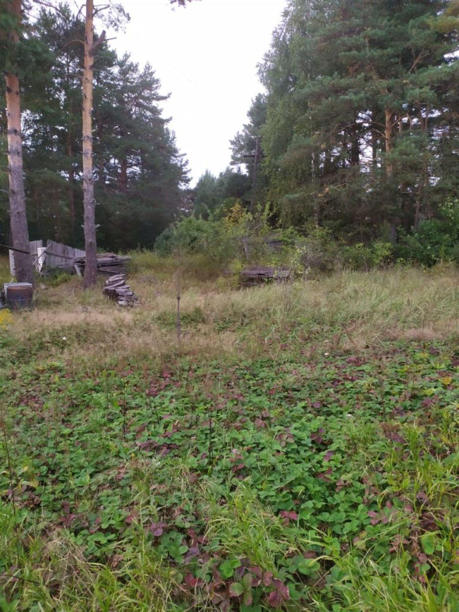 Купить землю, земельный участок за 220 000 рублей на , 69:10:0102401:82