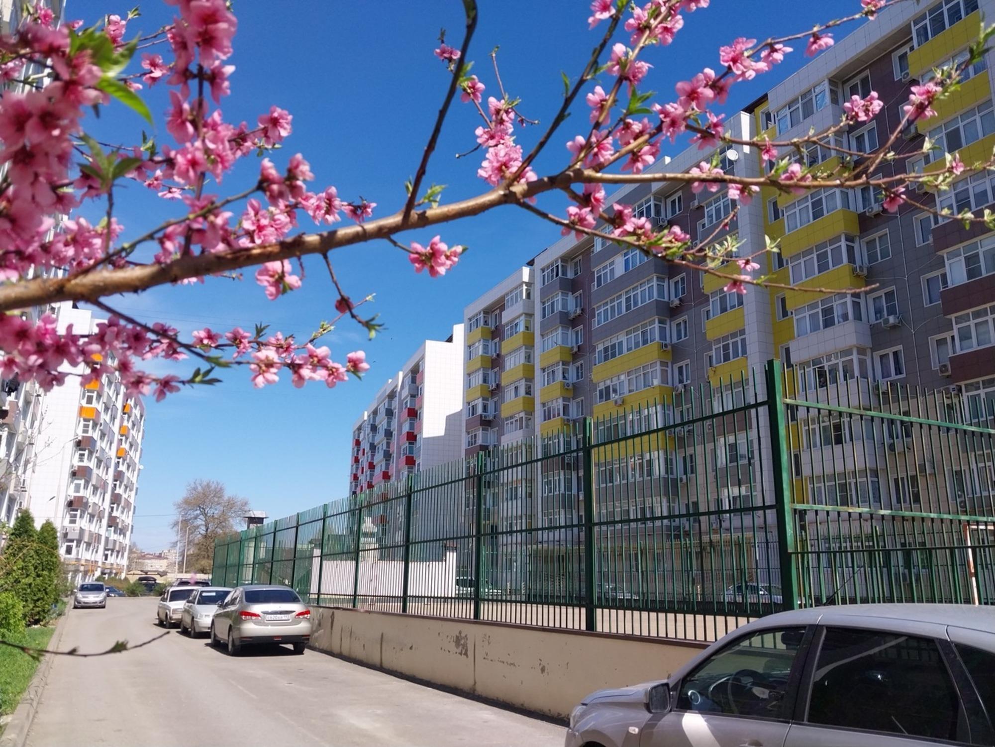 Купить квартиру за 5 900 000 рублей на Парковая улица, 64Ак8