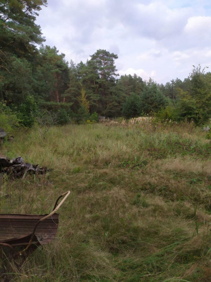 Земельный участок , 69:10:0102401:82