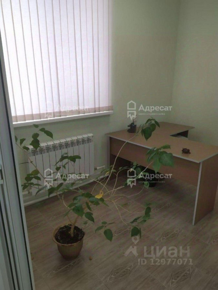 Офис переулок Степана Разина